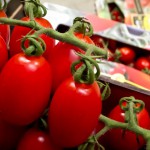 Pomodoro Datterino Caparròs