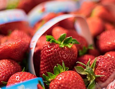 Le Fragole più Buone