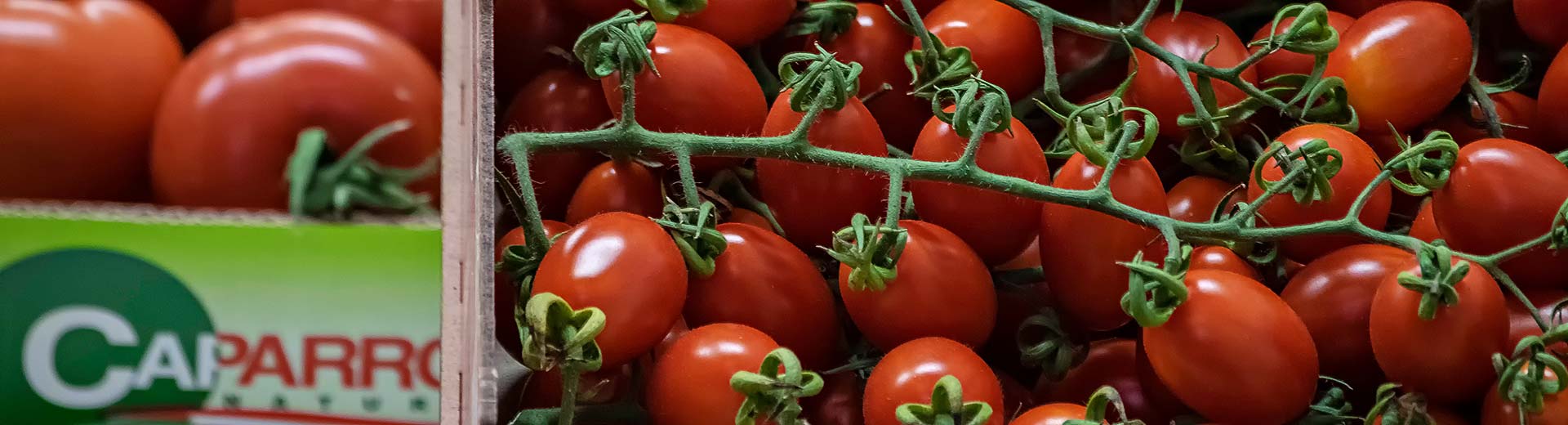 Vendita di Ortofrutta all'ingrosso