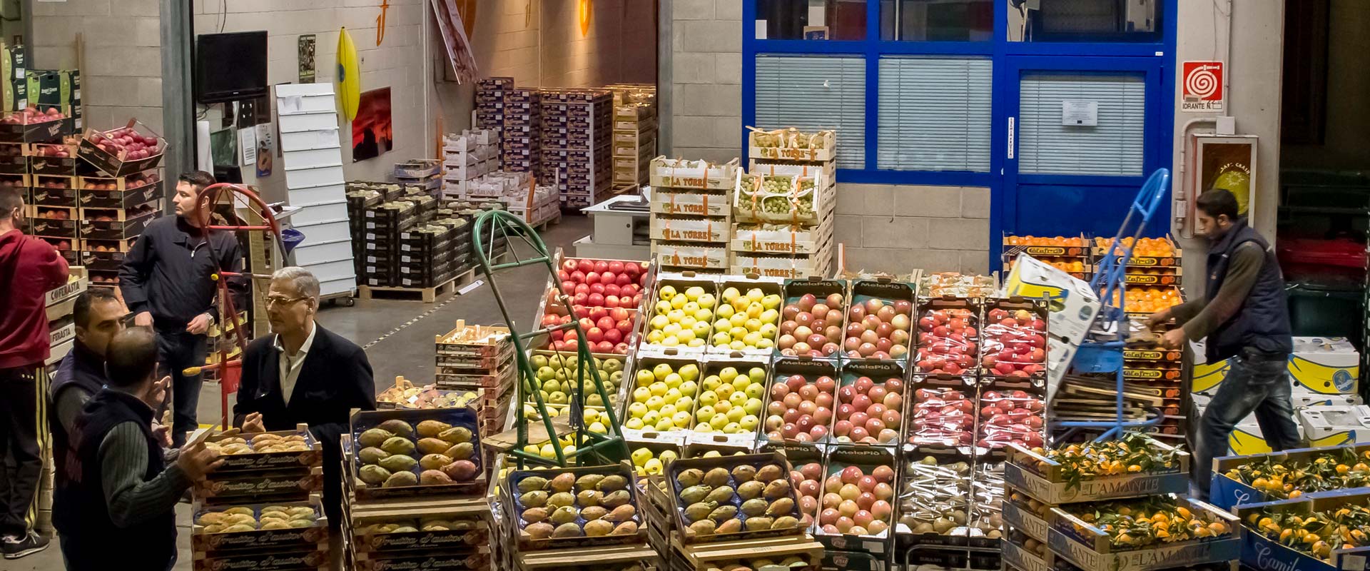Ingrosso Ortofrutta CAAT Torino