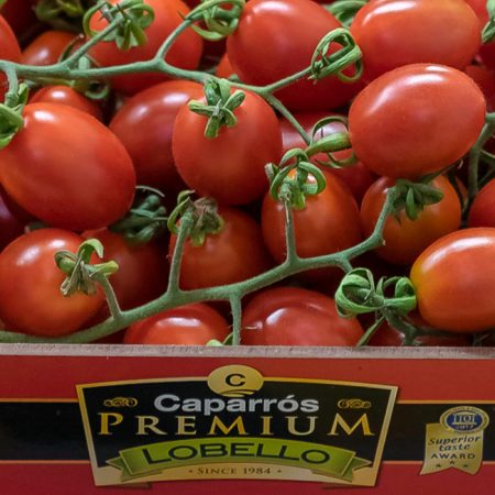 Pomodoro Datterino Caparros