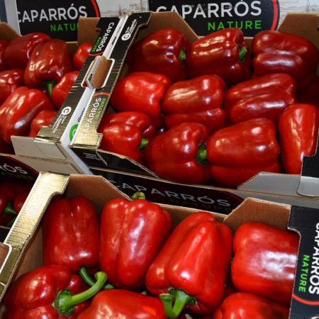 Rivenditore Caparròs Italia