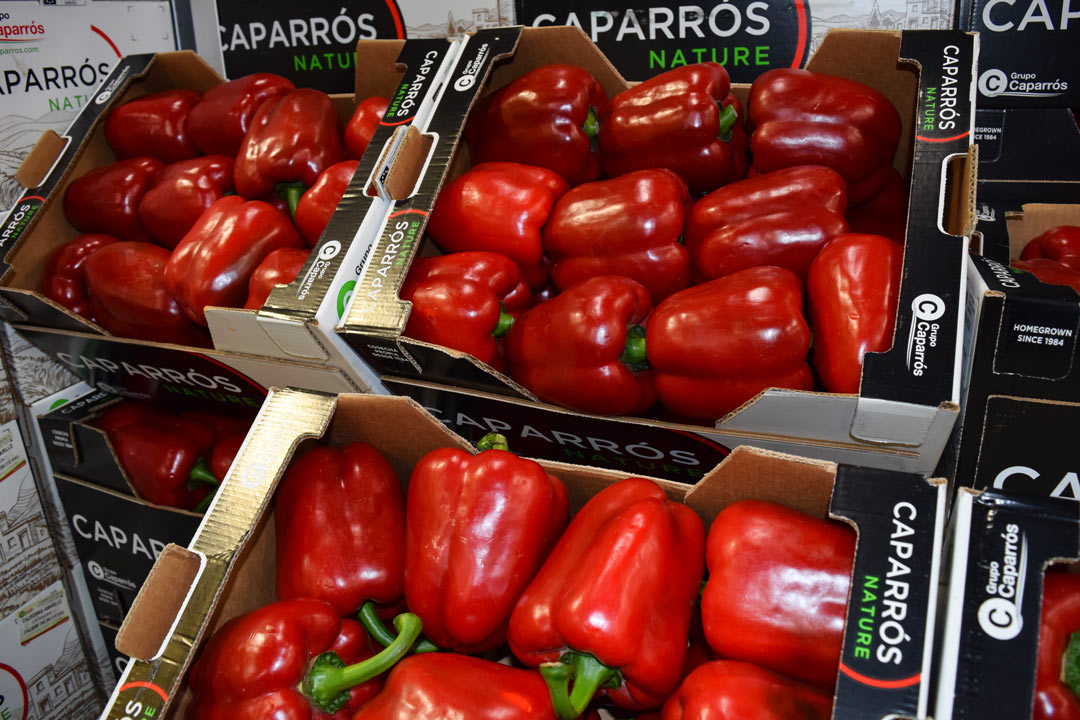 Rivenditore Caparròs Italia