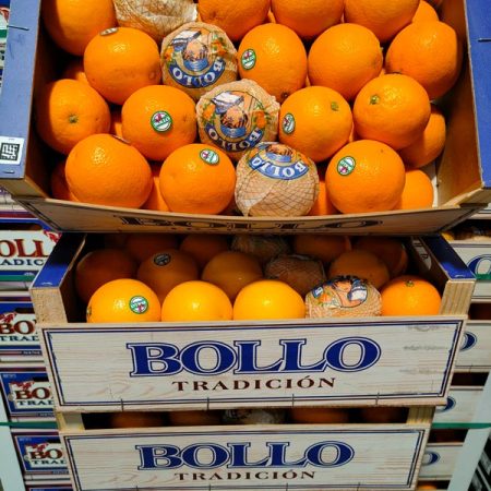 Arance Valencia Bollo