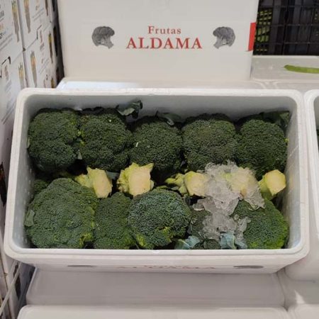 Broccoli Aldama