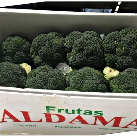 Broccoli Spagna Aldama