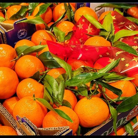 Clementine Corigliano