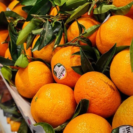 Clementine alta qualità Valencia