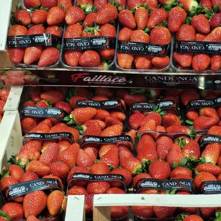 Fragole Ischia Frutta