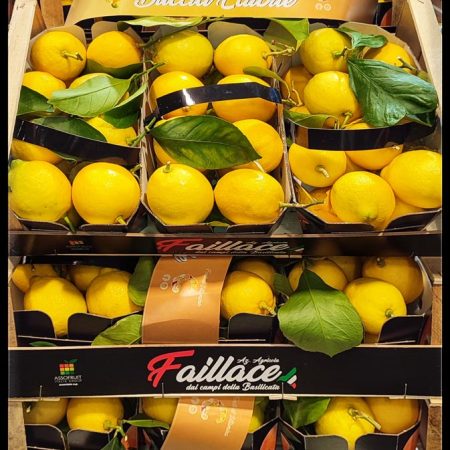 Limoni naturali faillace
