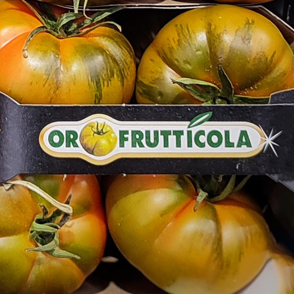 Ortofrutticola Pomodori sicilia