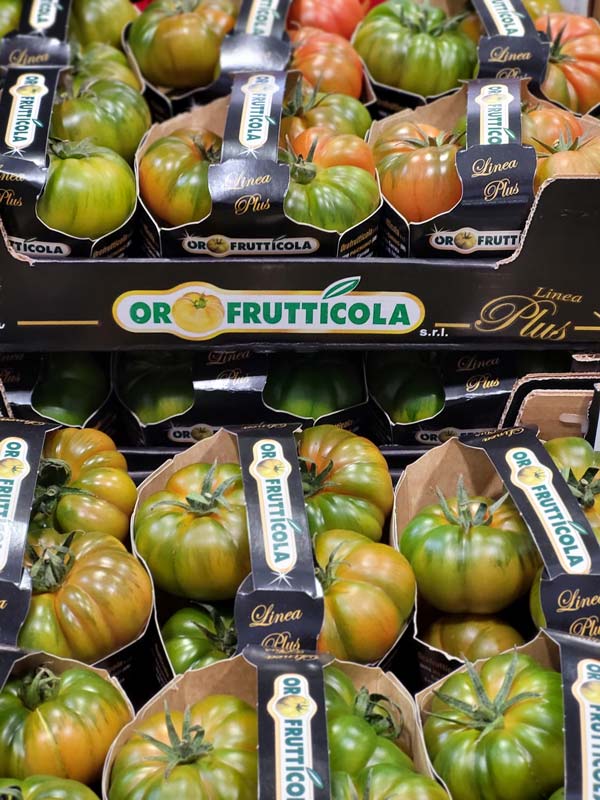 Pomodoro costoluto sicilia