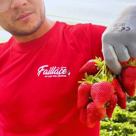 Produzione fragola candonga