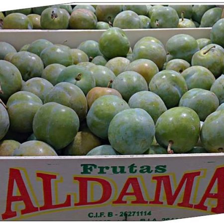 Susine spagna Aldama