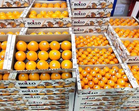 Arance Bollo