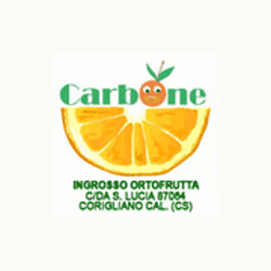 Logo Carbone Raffaele