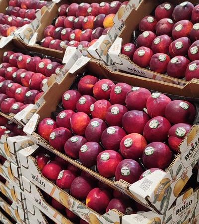 Nettarine Valencia Bollo