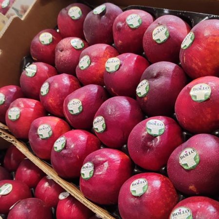 Pesche Bollo